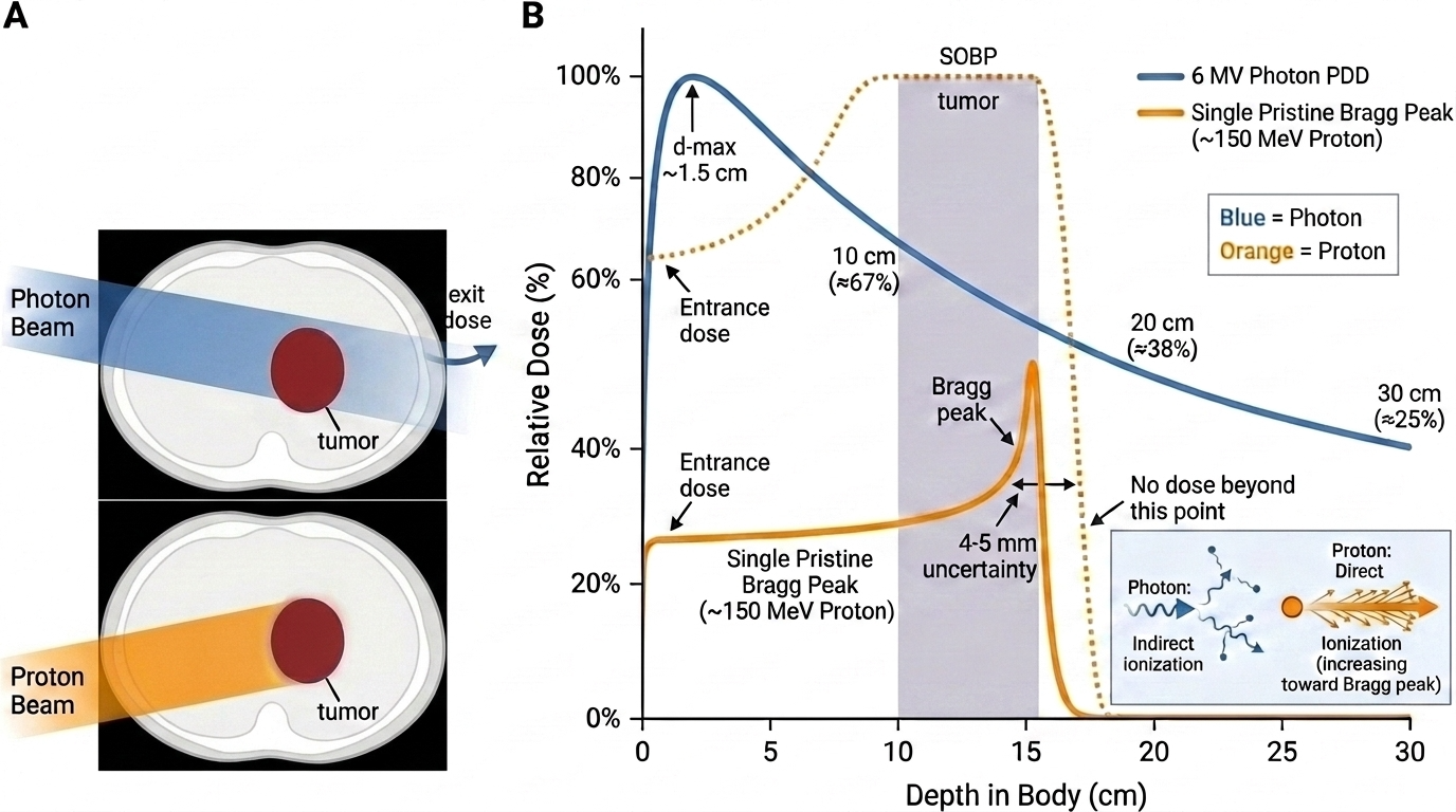 Panel A: photon beam passing through the body versus proton beam stopping at the tumor. Panel B: relative dose versus depth in the body, comparing the photon percent depth dose curve to a single pristine proton Bragg peak, showing the photon beam's high entrance dose and gradual exit dose versus the proton's sharp Bragg peak with no dose beyond the target.